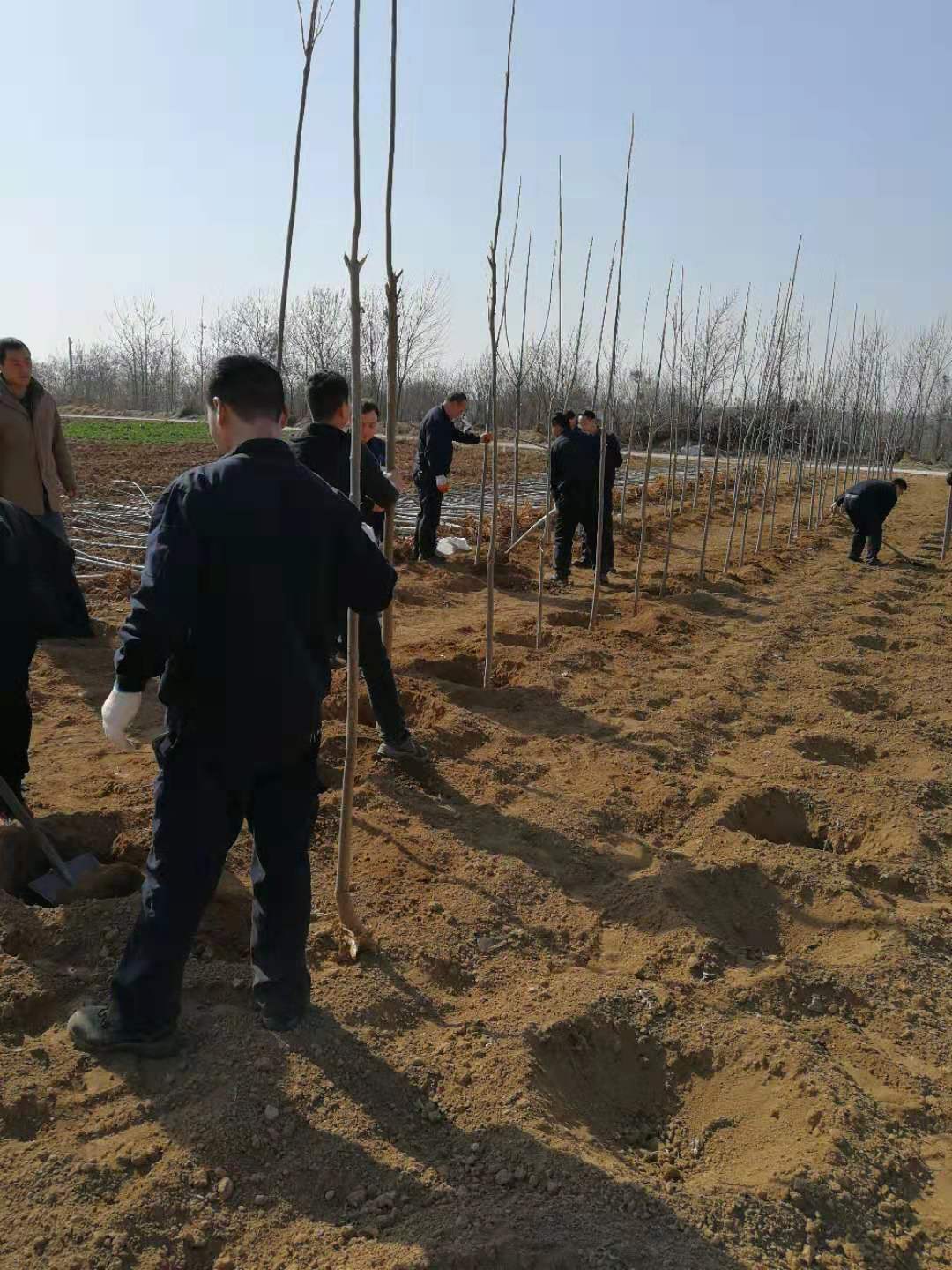 微信圖片_20190312163323.jpg 微信圖片_20190312163323.jpg