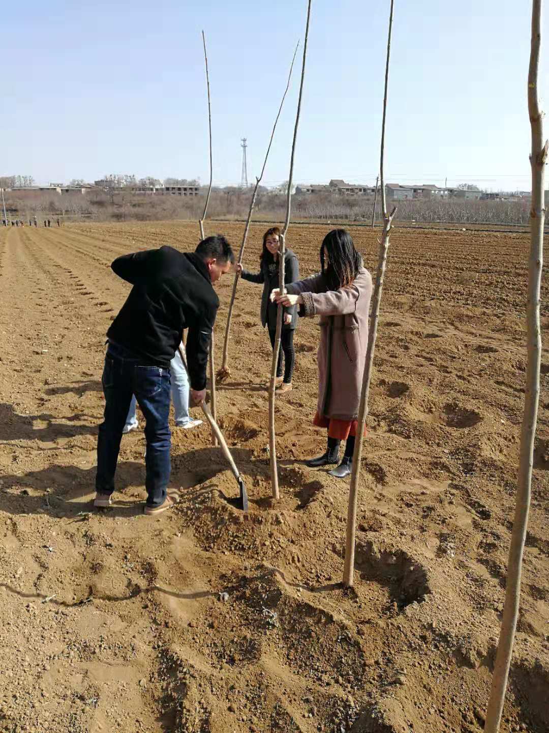 微信圖片_20190312163220.jpg 微信圖片_20190312163220.jpg