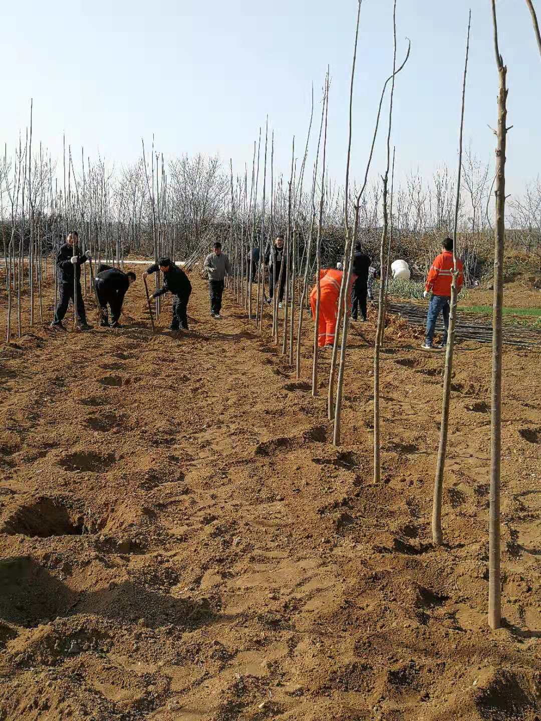 微信圖片_20190312163328.jpg 微信圖片_20190312163328.jpg